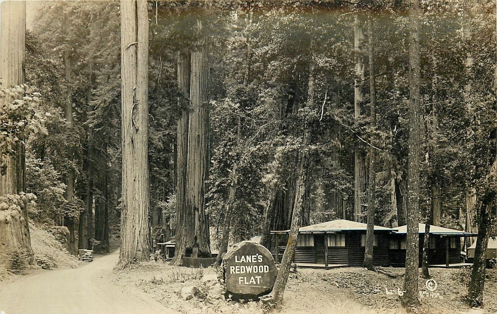 Postcard RPPC 1930s California Humboldt Lane's Redwood Flat occupation CA24-3565