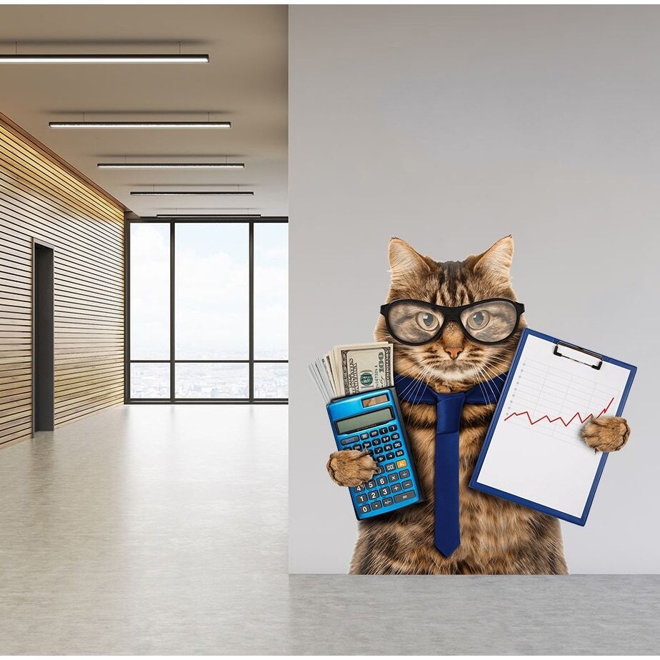 Accountant Cat Sticker, Accountant Cat Decal, Accountant Cat