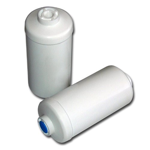 Berkey PF-2 Fluoride Filter (Set of 2 filters)