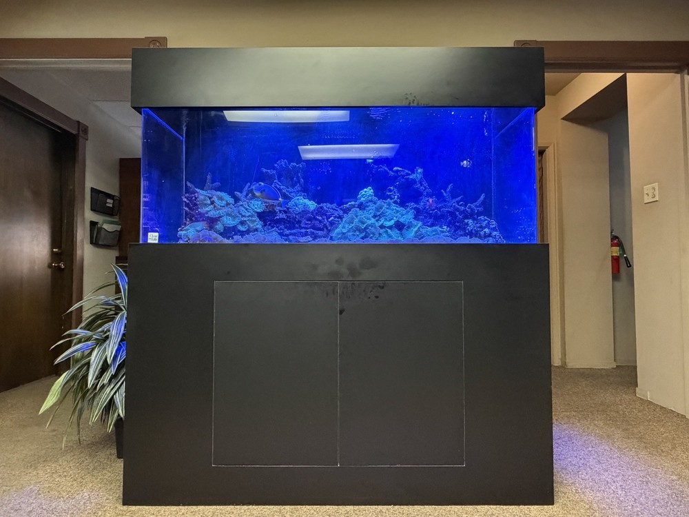 Custom Reef Aquarium Setup: 150 Gallon Acrylic Tank with Black Formica Stand