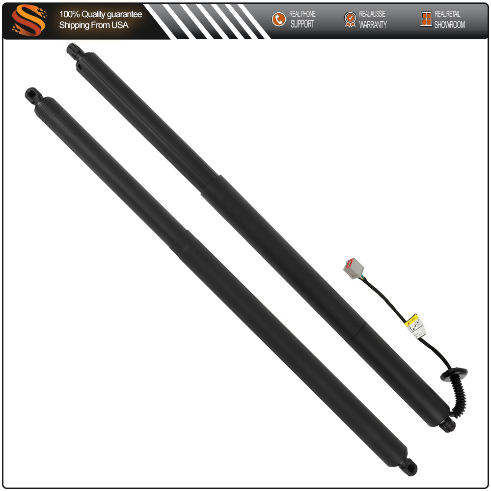 2Pcs Lift Supports Gas Struts for 2013-2019 Ford Escape Liftgate Shocks Springs