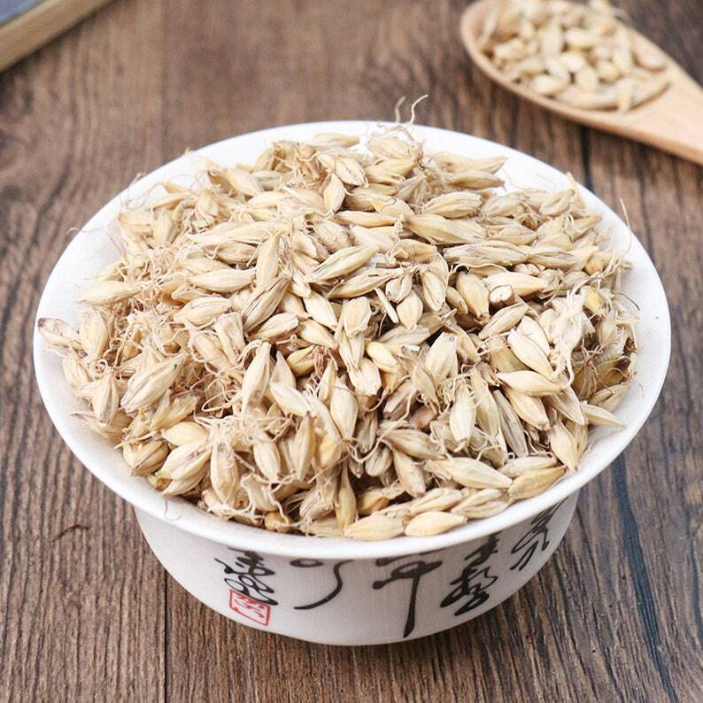Organic herbal Fructus Hordei Germinatus Malt Hordeum Vulgare Great Quality