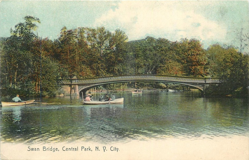 C1910 New York City Swan Bridge Central Park Rotograph G4A Postcard 25-1502