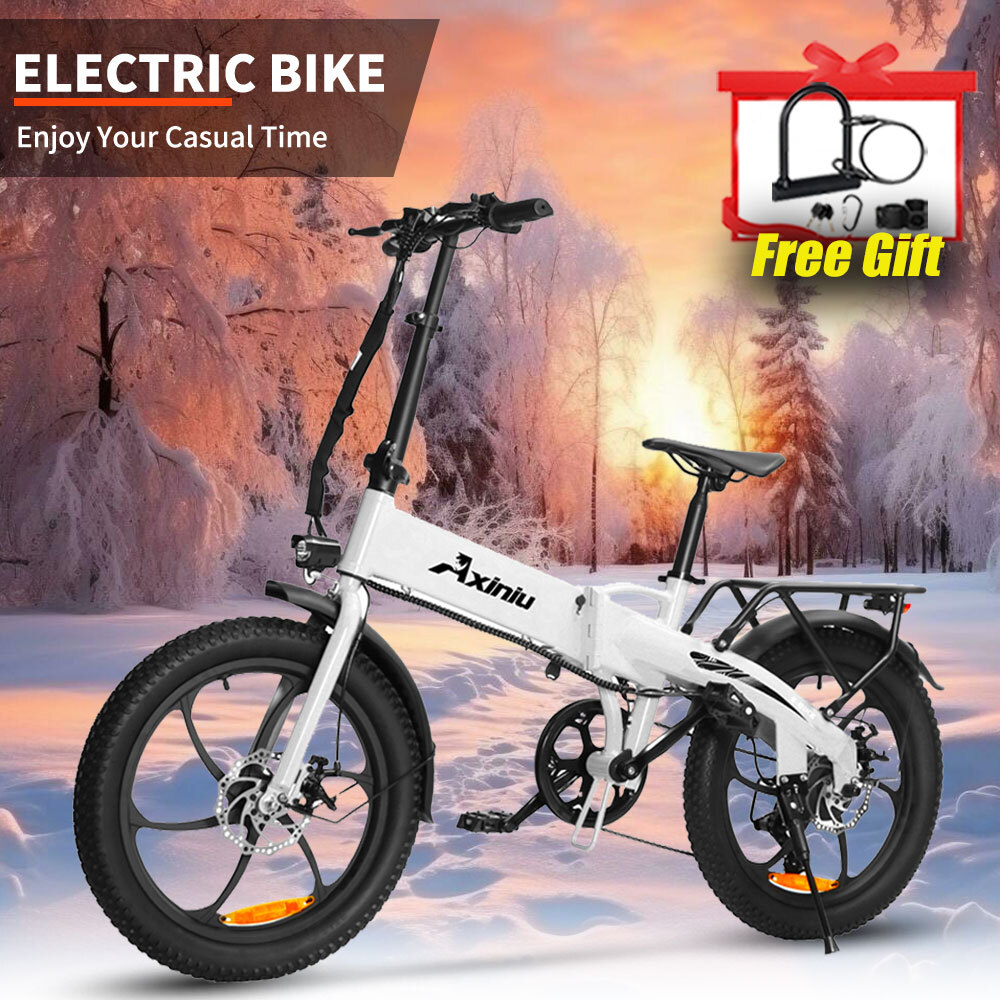 850W 48V Electric Mountain Bike 20