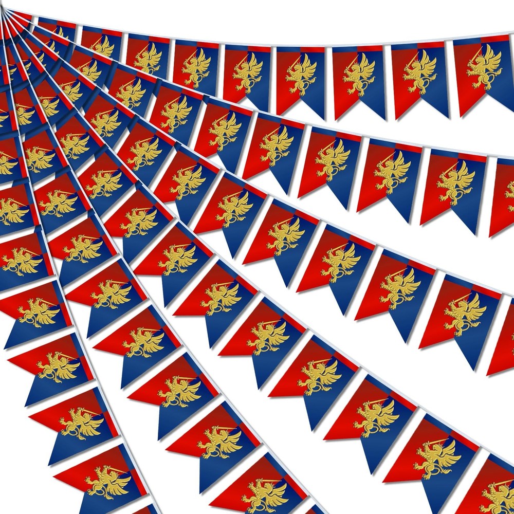 6 Pcs 72 ft Lion Design Medieval Fantasy Banner Party Decor