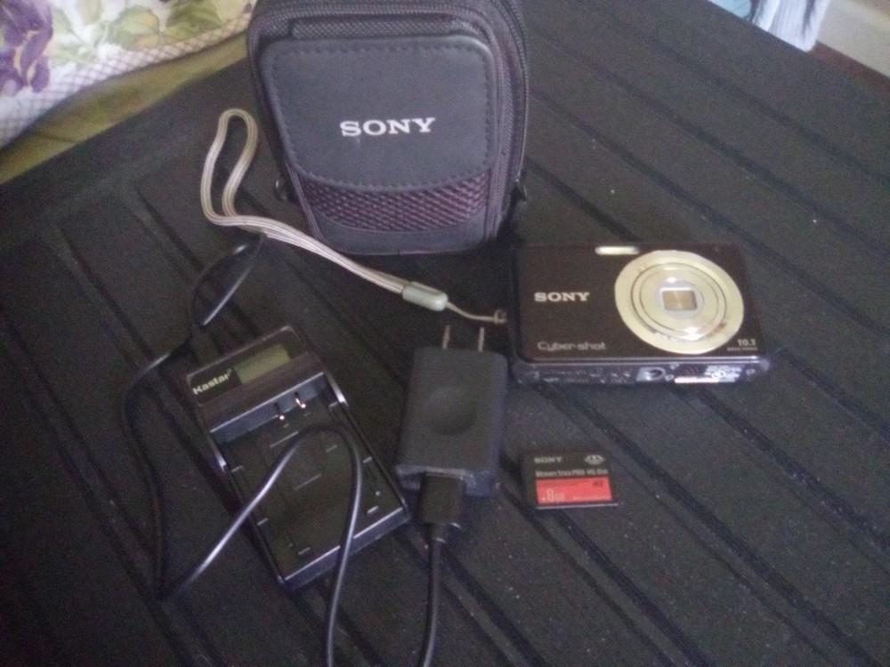 Sony Cybershot DSC-W180 Compact Digital Camera with High Resolution