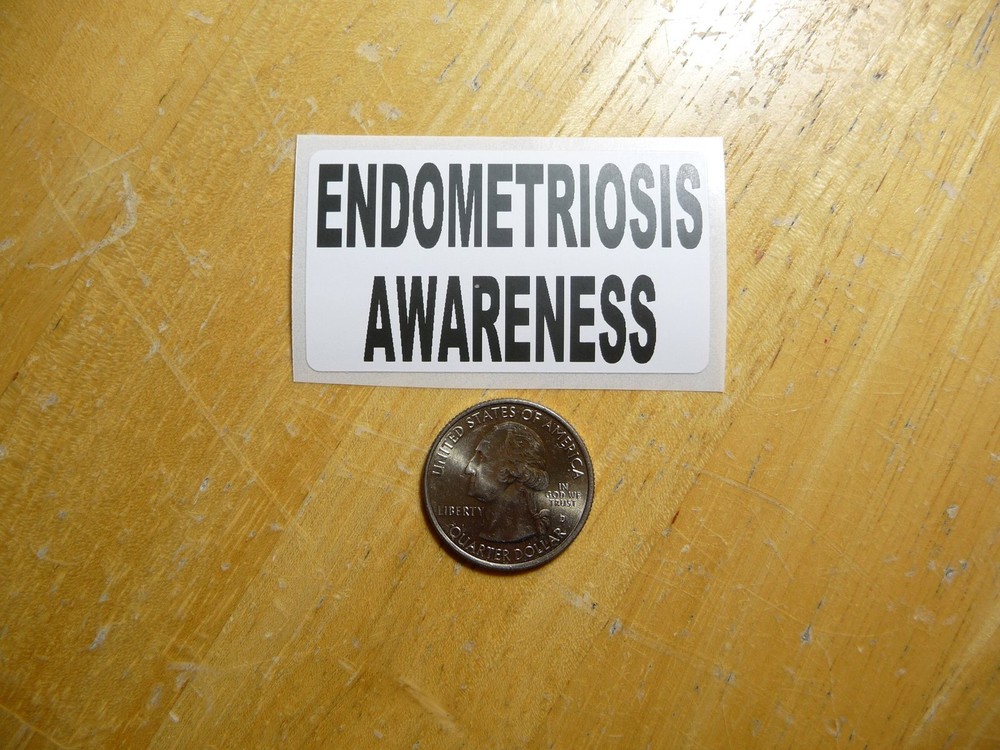 Endometriosis Awareness Sticker Decal - Bulk Pack of 1 to 50