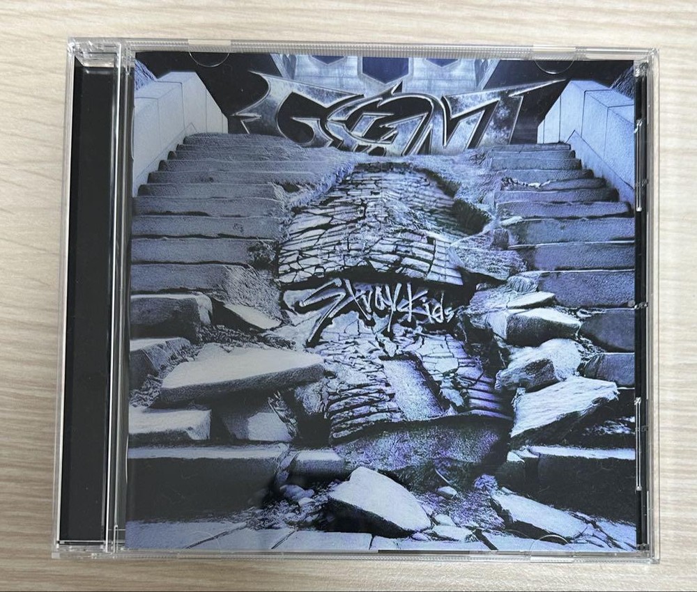 Straykids Album Opened Giant