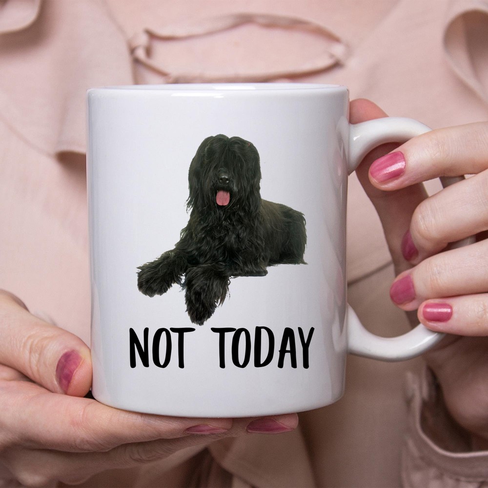 Funny Briard Dog Lover Mug for Coffee Tea Not Today Gift Lazy Dog Mom