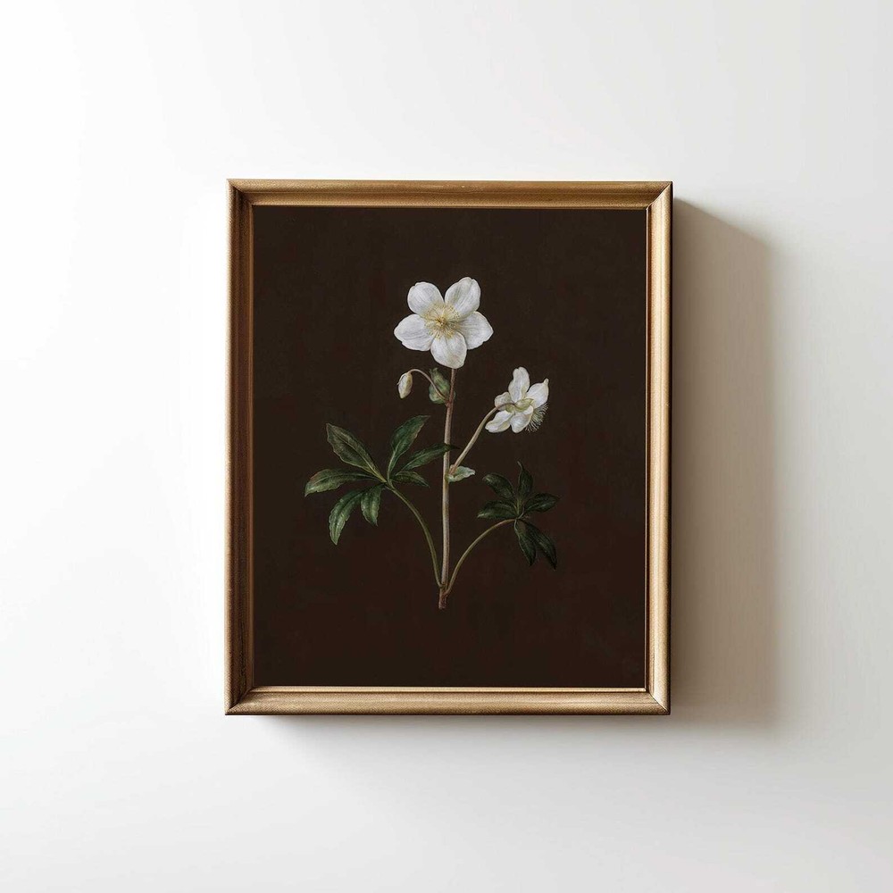 Dark Academia Decor Vintage Botanical Wall Art Cottagecore Decor Art Neutral
