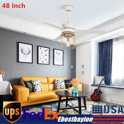 Modern Ceiling Fan Light Hanging Fan Lamp Pedant Fixtures with Remote Decor