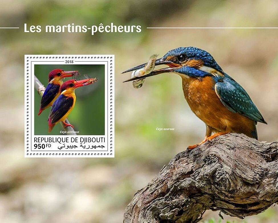KINGFISHERS 1-Value MNH Bird/Birds Stamp Sheet #146 (2018 Djibouti)