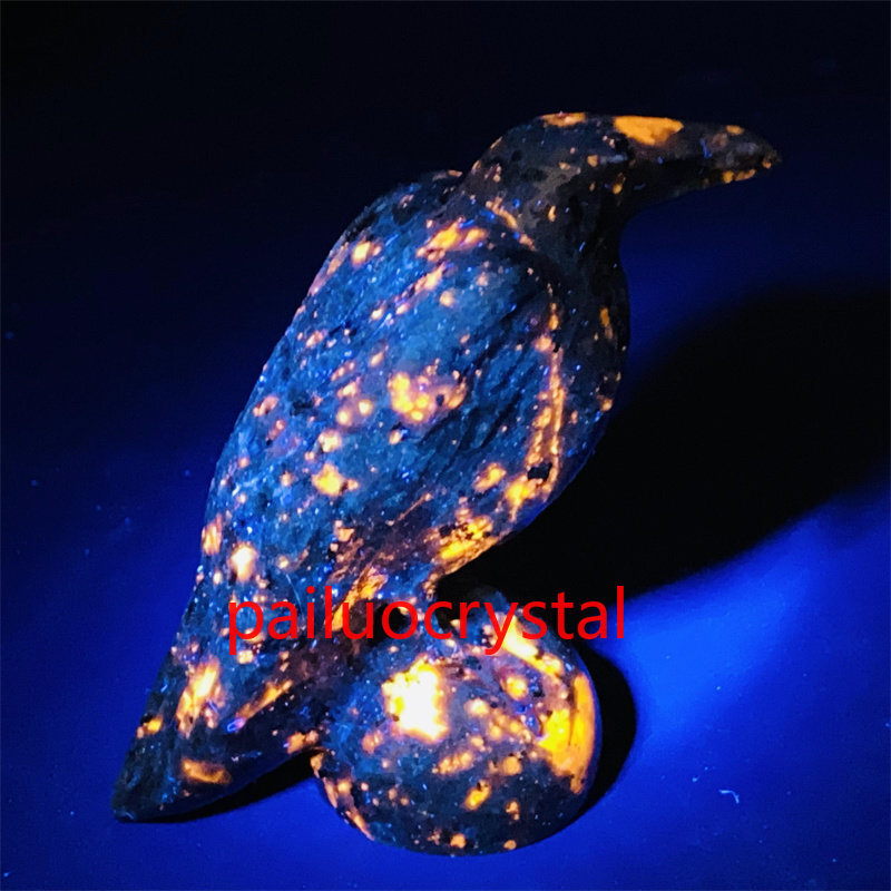 1pc Natural Yooperlite Crow Skull Quartz Crystal Skull Carved Figurines Gem 2.7