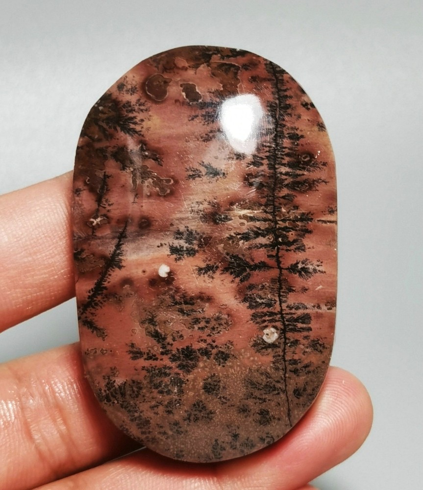 Rare Dendritic Chinese Painting Jasper Palm Reiki Stone Healing