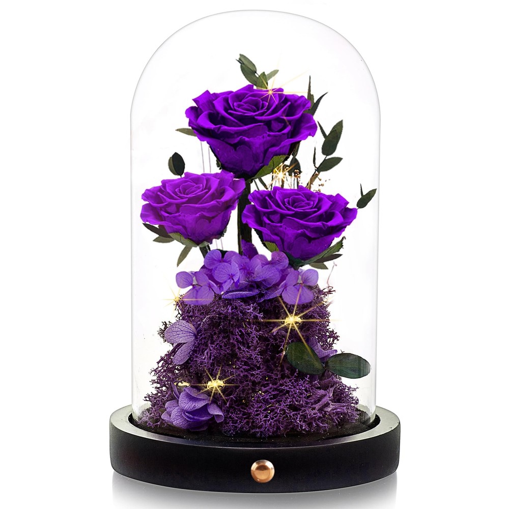 Valentines Day Flowers Roses Gifts for Women,Forever Preserved Roses in Glass...