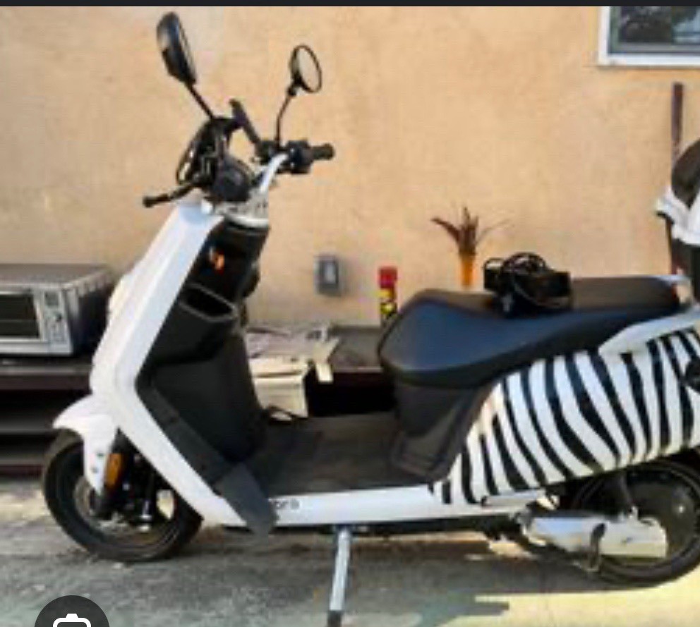 Zebra Electric Scooter in Excellent Condition
