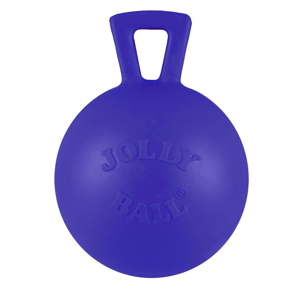 Tug-n-Toss Heavy Duty Dog Toy Ball with Handle 4 Inches/Petite Blue 404 BLSma...