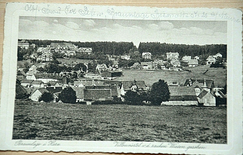 Braunlage IN Resin Villenviertel Vintage 1925 Rough Meadow View