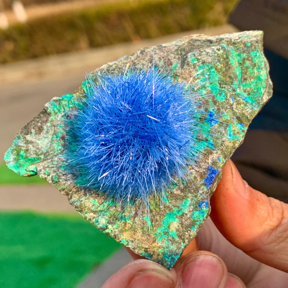 61G Indian dandelion zeolite Quartz Crystal Cluster Mineral Specimen