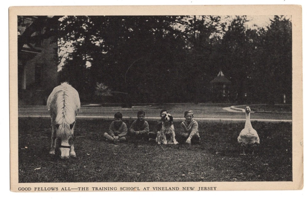 Children & Animals at Training School in Vineland NJ OLD