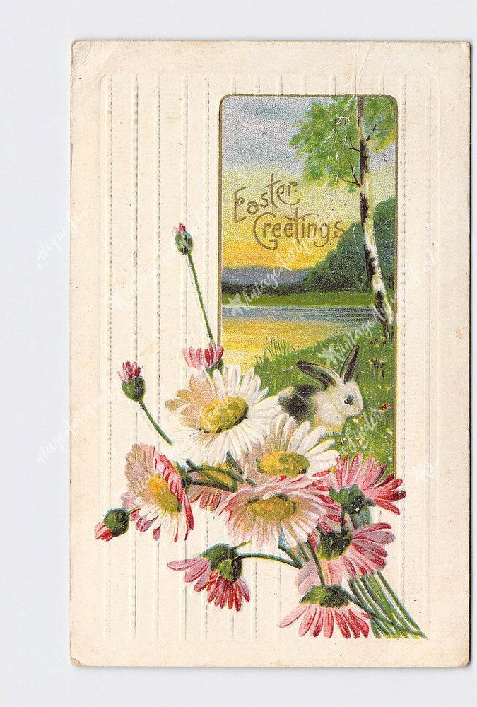 Holiday Postcard Easter Greetings Bunny Rabbit In Field With Daises Embossed
