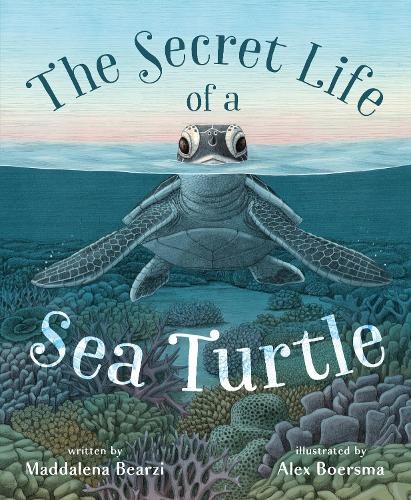 Maddalena Bearzi The Secret Life of a Sea Turtle (Hardback)