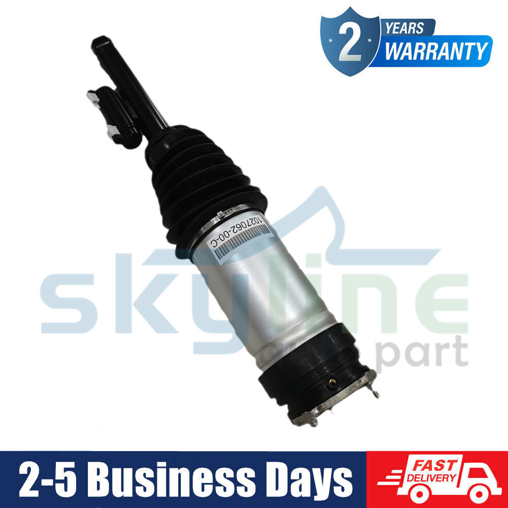 Tesla Model S 16-23 Left Rear Adaptive Air Suspension Strut 1066461-00-D