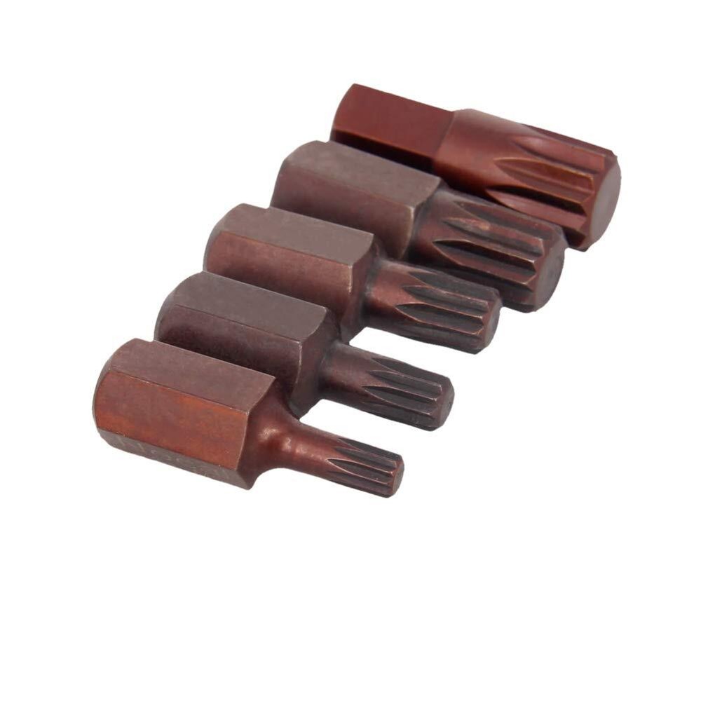 5-Piece Torx Spline Screwdriver Bit Set with 1/4 Inch Hex Shank