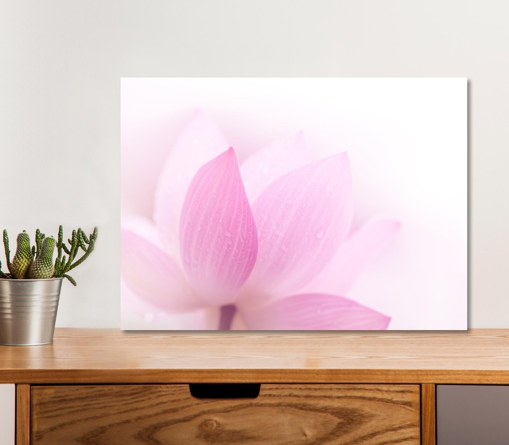 Closeup On Lotus Petal 5mm thick Plastic Poster Ready to Hang 60x45cm