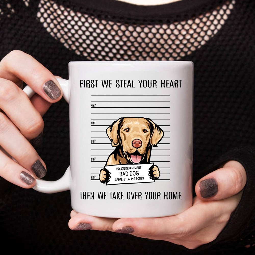 Funny Chesapeake Bay Retriever Dog Lover Mug - First Steal Your Heart