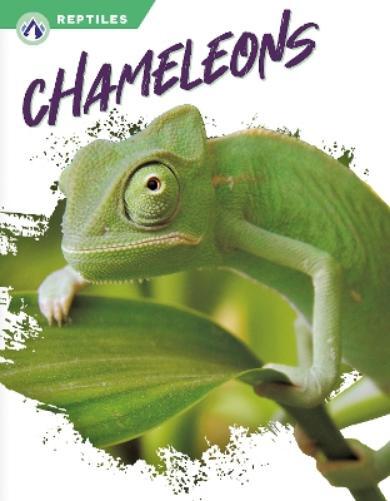 Megan Gendell Chameleons (Hardback) Reptiles