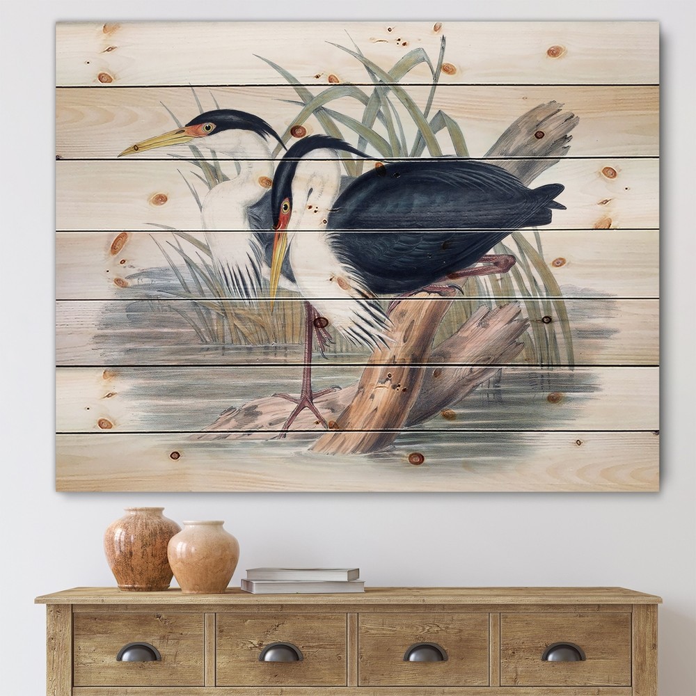 Designart 'Vintage Bird Life II' Traditional Print on