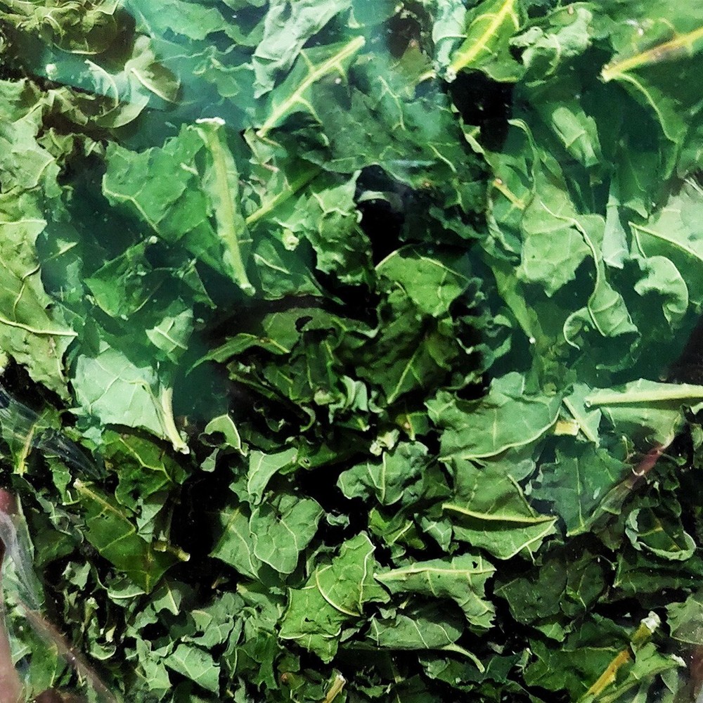 Organic Dried Papaya Leaves 1lb Natural Pawpaw Carica Papaya