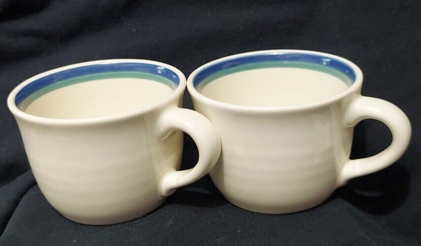 Pfaltzgraff Northwind Coffee Mug Set of 2 Replacement Dinnerware Cups