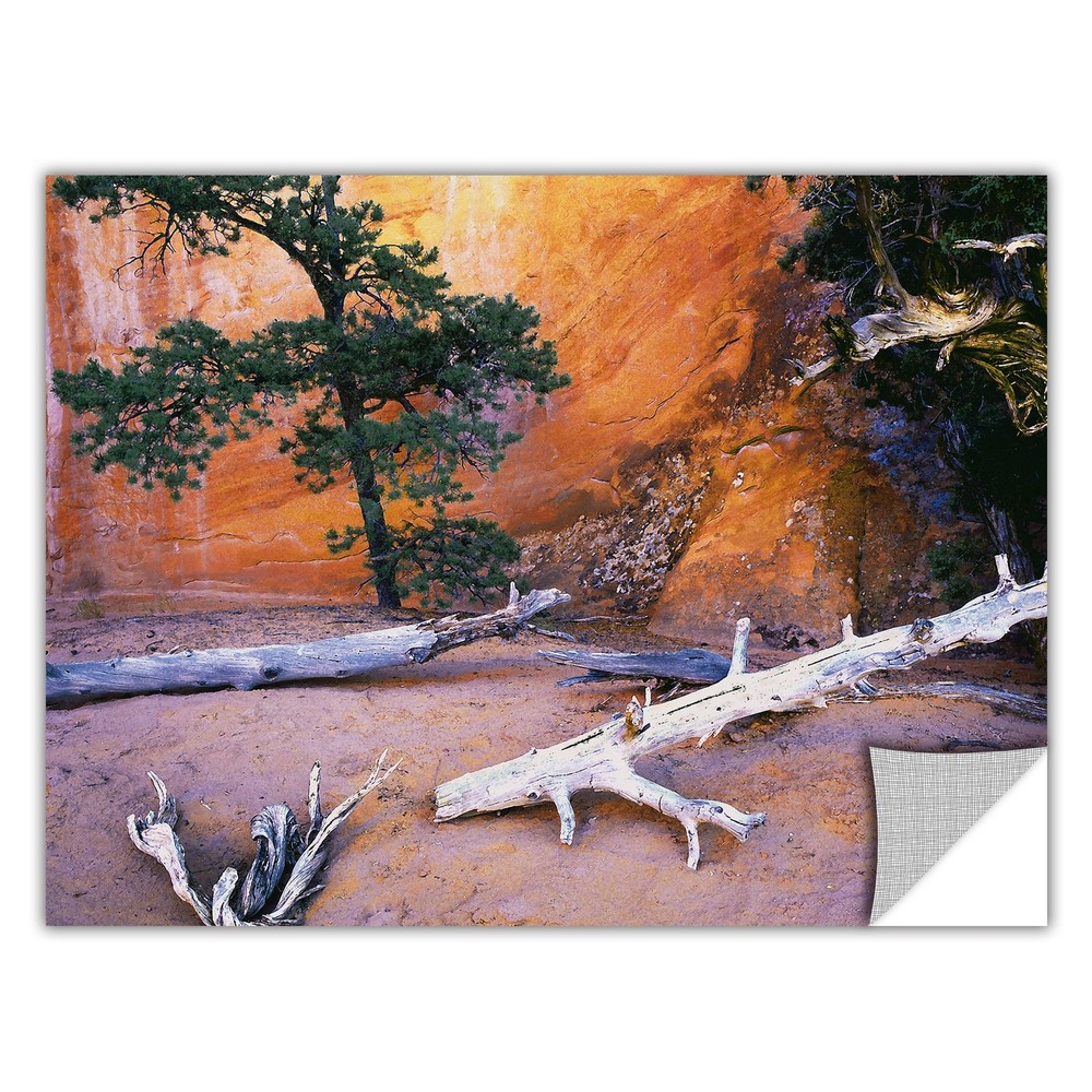 Dean Uhlinger 'Devils Garden' Removable Wall Art  Small
