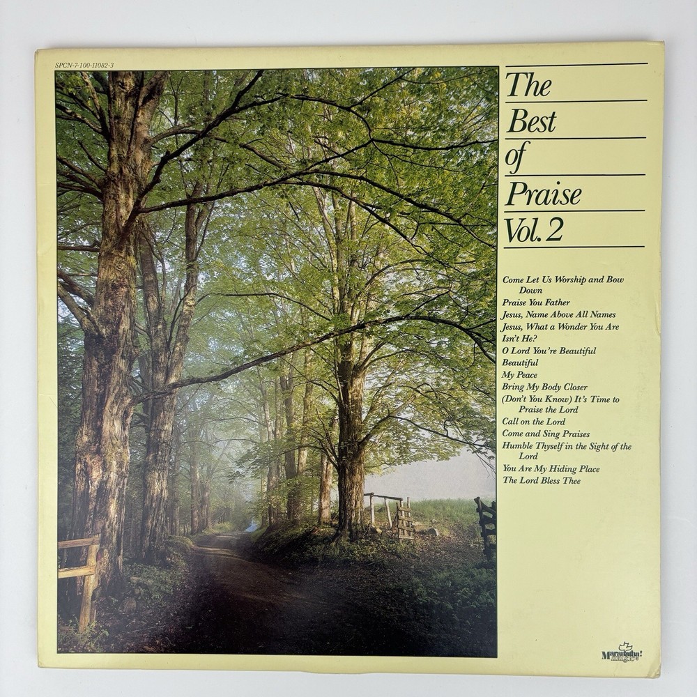 The Best Of Praise Vol. 2 LP Vintage 1983 Marantha Music SPCN-7-100-11082-3