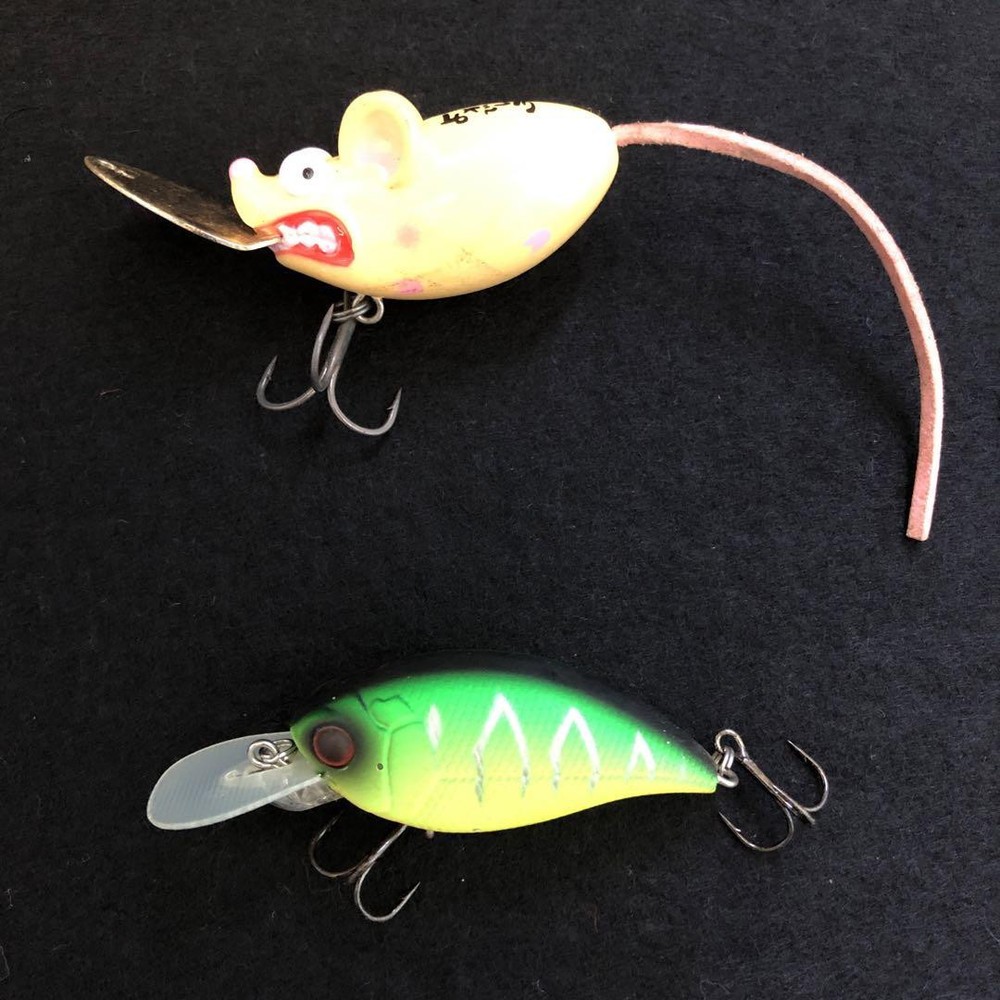 Jackall Scarlet Riser Pig Mouse Level Crank Fishing Lure  
