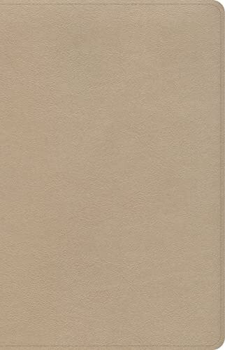 CSB Large Print Personal Size Reference Bible in Gold LeatherTouch by Holman 2022