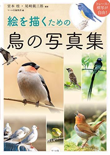 A collection of bird photographs for drawing pictures 25.7 x 18.... book form JP
