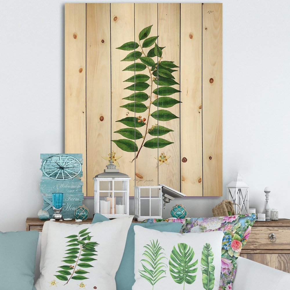 Designart 'Vintage London Plants VI' Farmhouse Print on