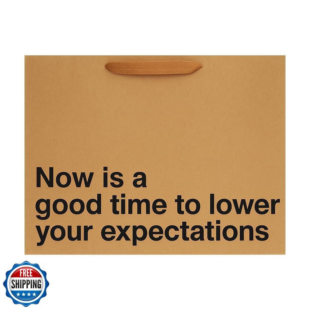 Funny Snarky Large Kraft Gift Bag 16x6x12 Inches