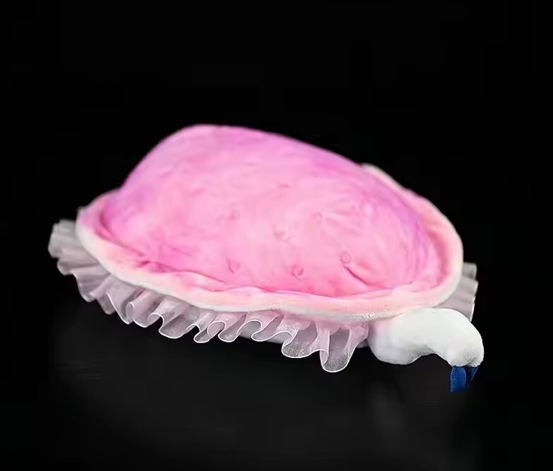 Kimberella Worm 11 inch Stuffed Animal Plush Toys Toddler Doll Kids Gifts