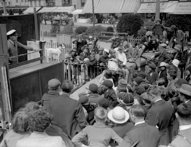 1930 A Dog Performs For A Day Trippers At Southend On Sea Old Photo