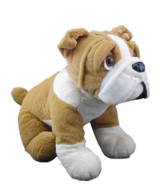 Buddy The Bulldog 16