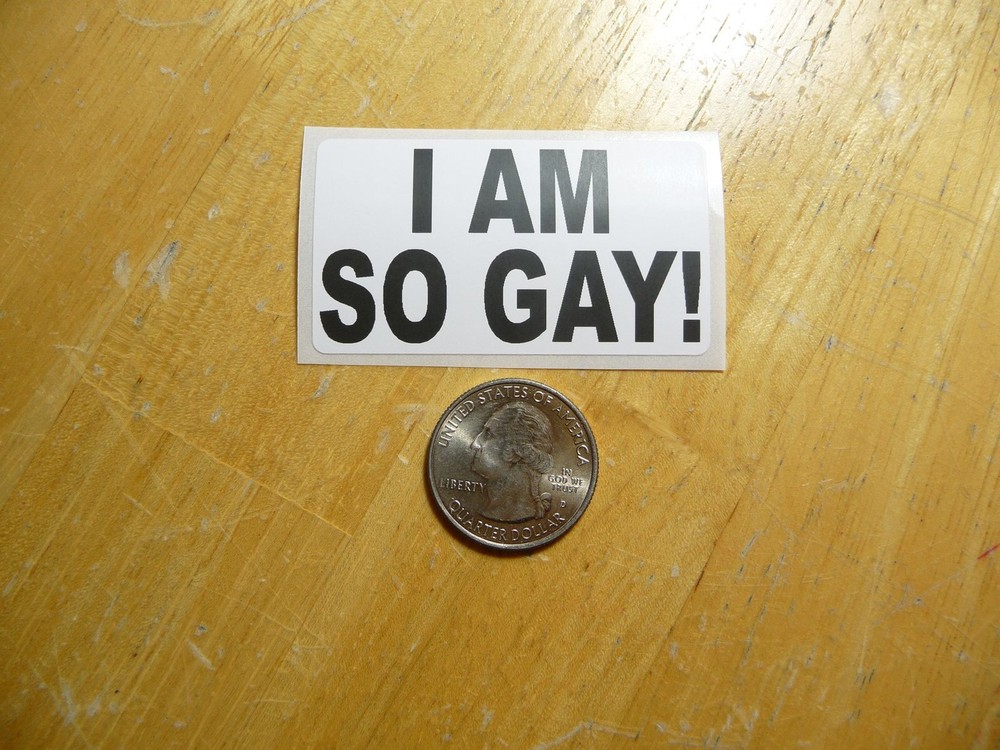I AM SO GAY DECAL 1 - 50 BULK PACK AVAILABLE