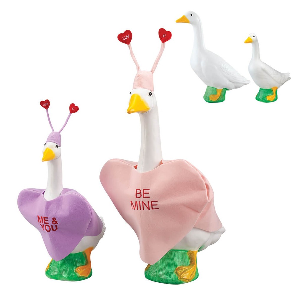 Gaggleville Goose Conversation Heart Bundle, Includes 1 Large 23