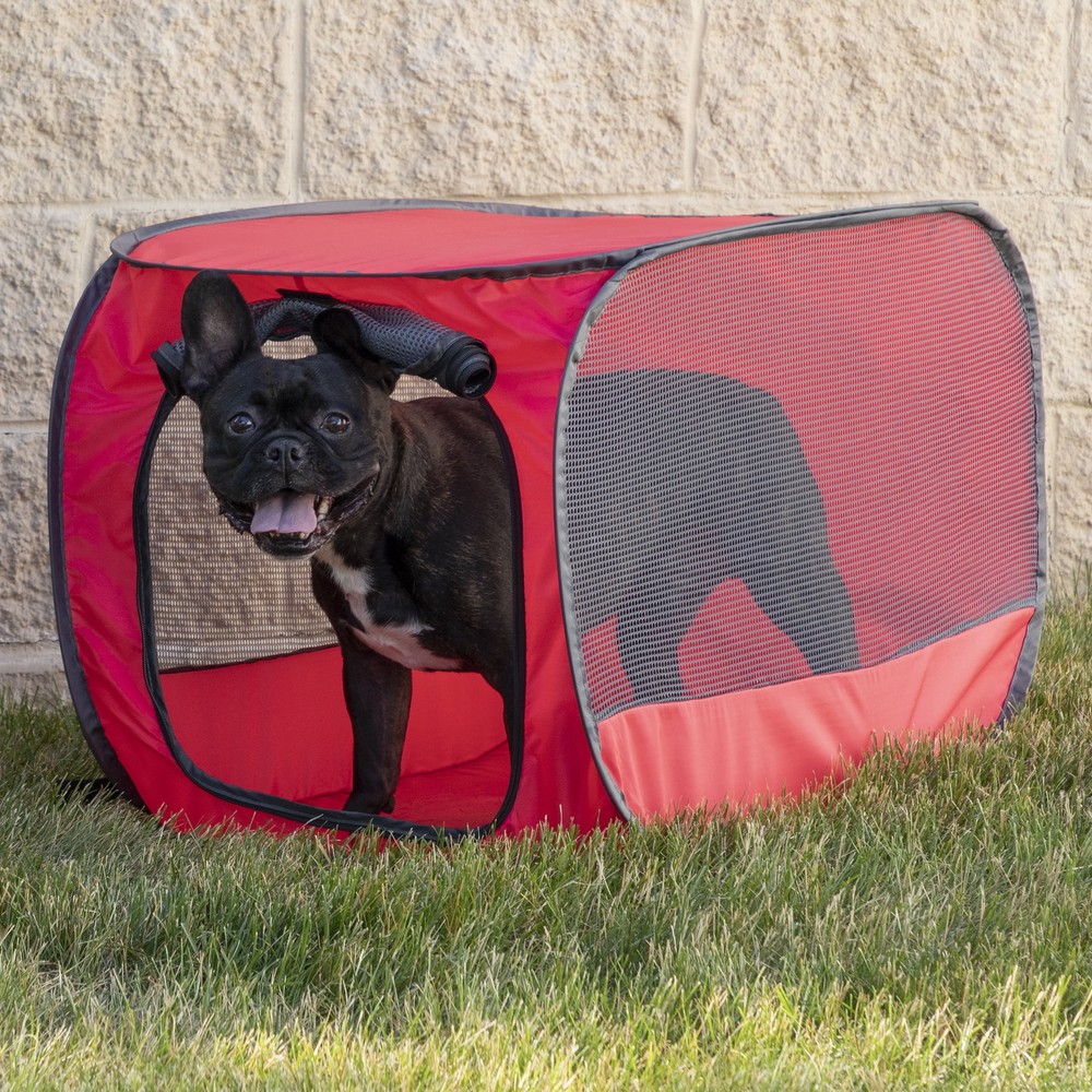 Limited Time Soft-Sided 32-Inch Red Mesh Pop-Up Dog Kennel Medium-image