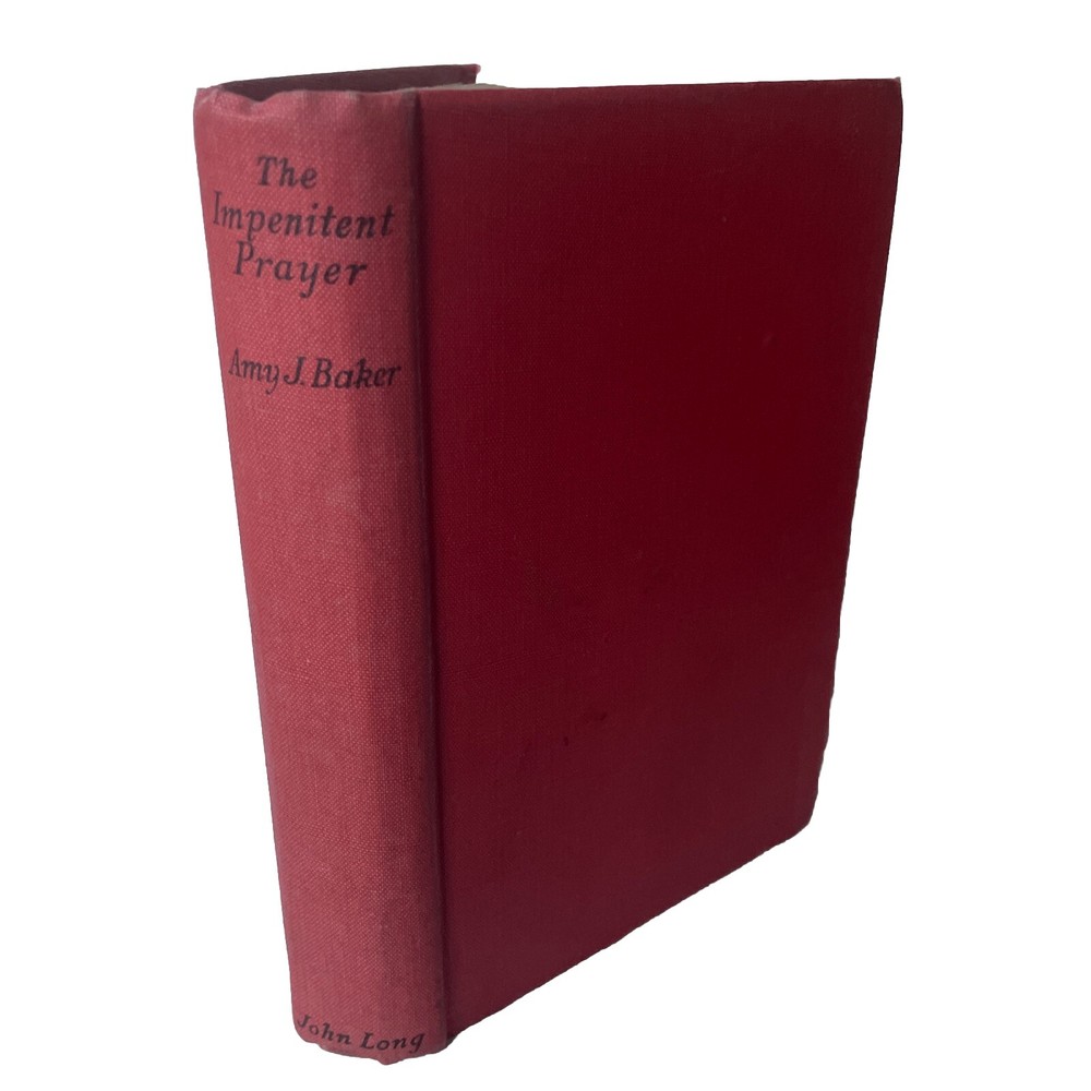 The Impenitent Prayer Amy J. Baker Vintage Hardback Book South Africa Fiction