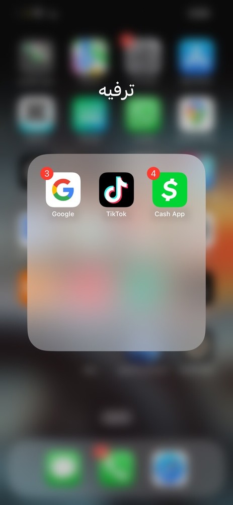 iPhone 12 Pro Max with TikTok