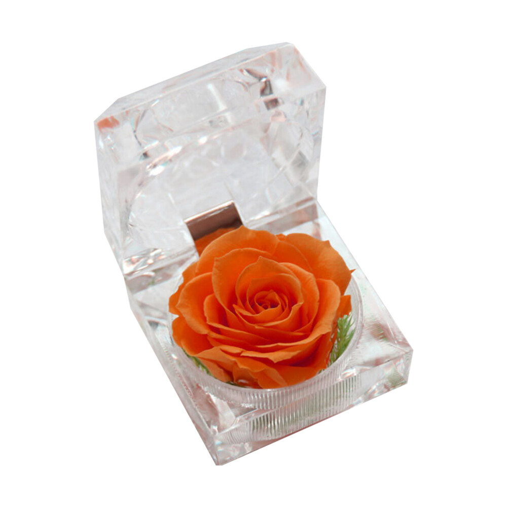 Eternal Preserved Rose Never Withers Valentine's Gift